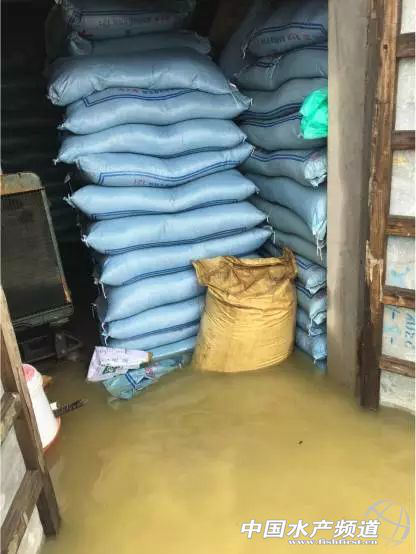 暴雨致26省受灾，损失506亿元，水产养殖首当其冲