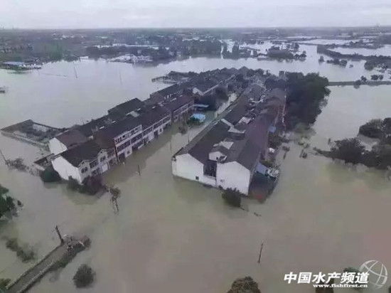 暴雨致26省受灾，损失506亿元，水产养殖首当其冲